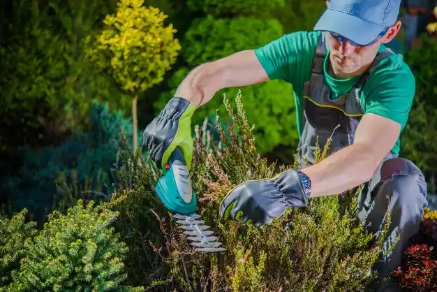 landscaping services Sunbury